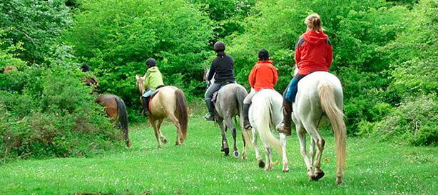 Rutas a caballo por Valladolid