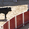 Fiestas de San Roque